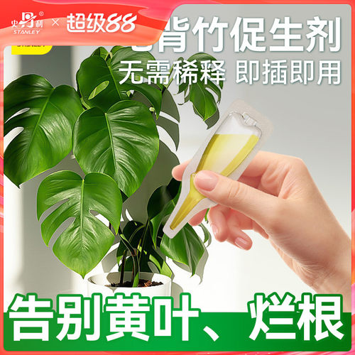 史丹利龟背竹专用肥营养液