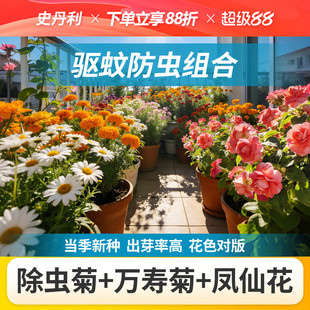 史丹利花种子四季开花大全除虫菊花籽太阳花万寿菊凤仙花室外易活