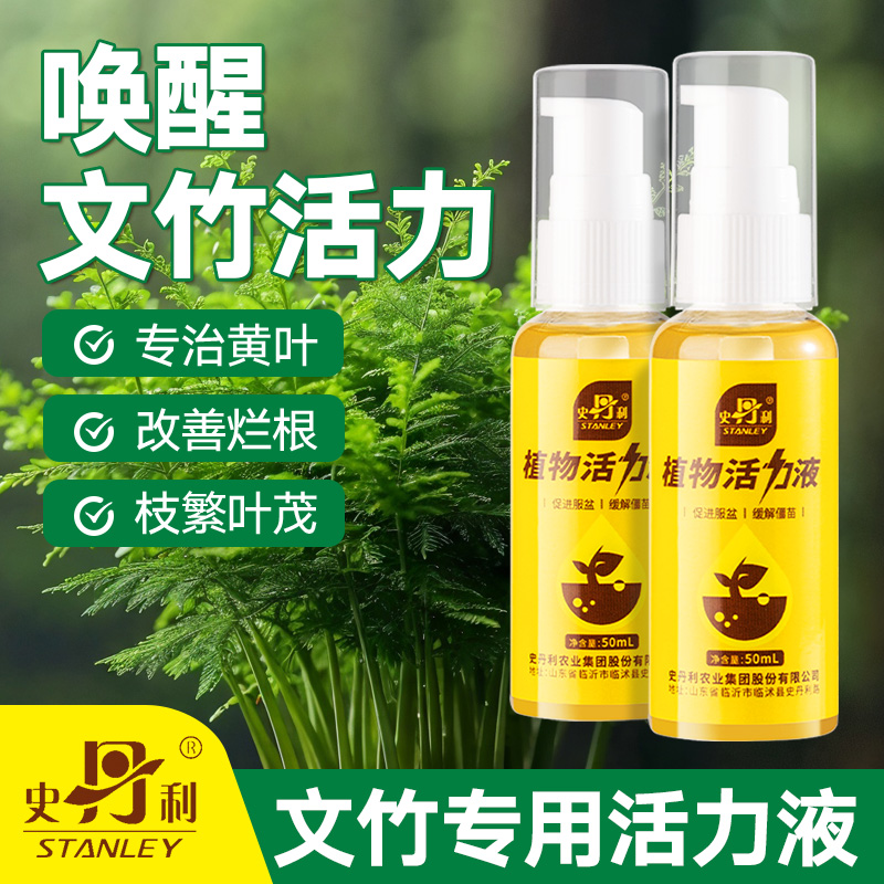 文竹专用肥料告别黄叶