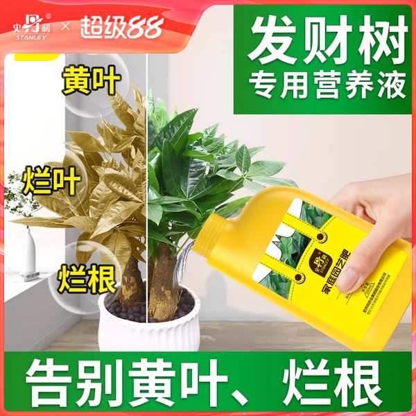 史丹利发财树肥料专用肥营养液植物叶子发黄烂根怎么办金钱树花肥