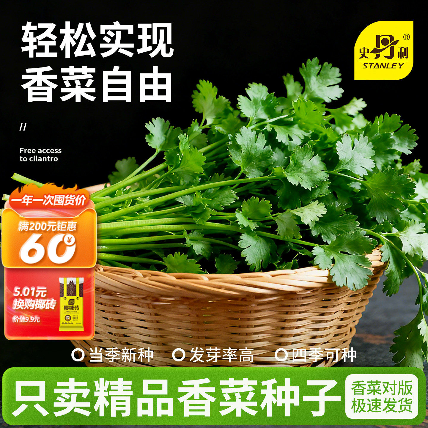 史丹利四季香菜种子芫荽阳台种菜秋冬蔬菜盆栽种籽孑菜籽籽种大全