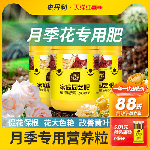 史丹利月季花专用肥治黄叶速爆笋