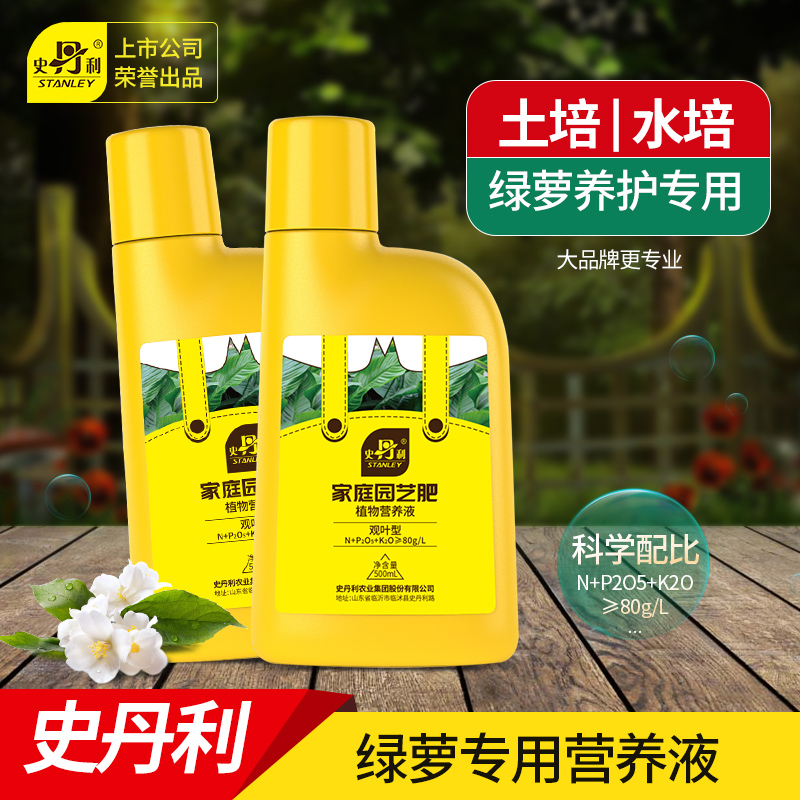 史丹利营养液绿箩叶子发黄土培