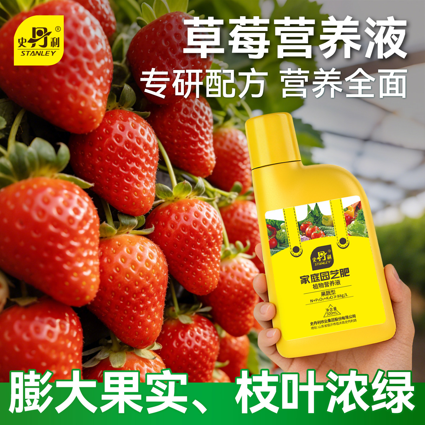 史丹利草莓营养液肥料专用肥家用盆栽种植水溶肥叶面肥有机复合肥,鲜花速递/花卉仿真/绿植园艺,家庭园艺肥料,淘宝优惠券,粉丝福利购,淘宝优惠卷