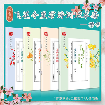 时代文艺雪松字帖飞花令里楷书