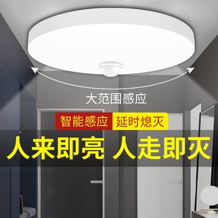 智能led吸顶灯过道走廊入户门灯具楼梯楼道声控灯雷达人体感应灯