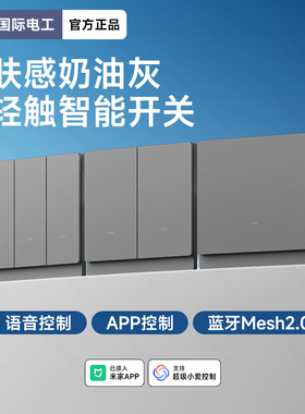 国际电工已接入米家APP全屋wifi智能语音灰色开关控制面板mesh2.0