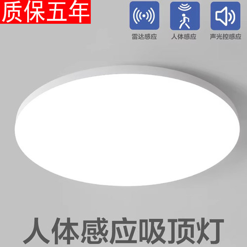 楼梯间感应灯楼道声光控吸顶灯