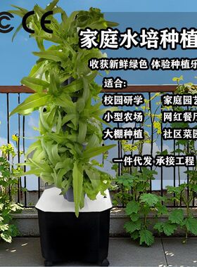 家用垂直水培塔智能无土蔬菜机
