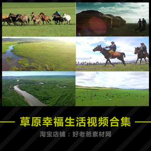 大气草原幸福生活素材合集 内蒙古呼伦贝尔大草原套马杆篝火视频
