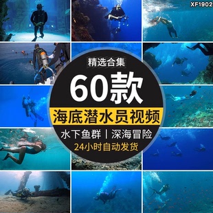 海底潜水员探秘海底世界深海冒险潜入水下鱼群高清实拍短视频素材