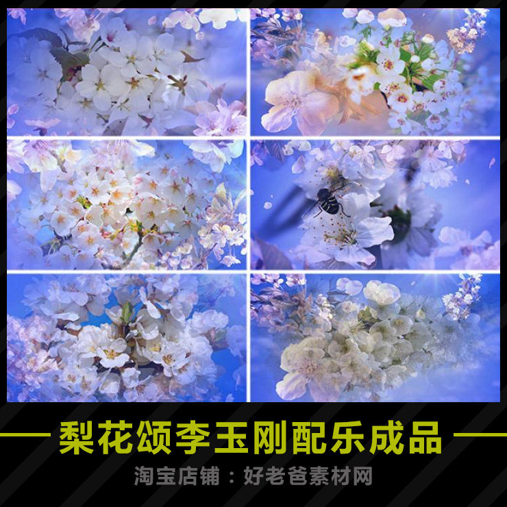 梨花颂李玉刚配乐成品 唯美梨花美戏曲背景歌舞伴奏歌曲led视频