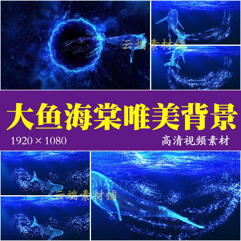 H大鱼海棠伴奏 唯美蓝色大海鲸鱼抒情歌曲 LED大屏幕背景视频素材