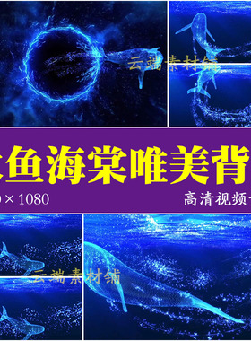 H大鱼海棠伴奏 唯美蓝色大海鲸鱼抒情歌曲 LED大屏幕背景视频素材