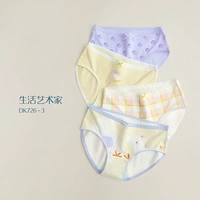 DK726-Combination 3 (художник по жизни)