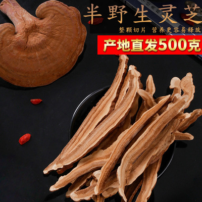 [长白山灵芝片500g干货东北林芝正品野生赤灵芝片泡水灵芝茶泡酒新]