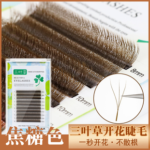 焦糖色三叶草嫁接睫毛 焦糖色3D一秒开花3d焦糖色睫毛3D一秒开花