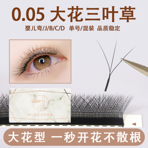 外扩大花三叶草自然浓密不散根