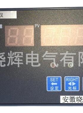 温度巡检仪STST-10-2-0能-20智巡检仪01路2巡检仪