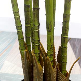 热卖新款仿真金植棕竹栽盆大型绿植造景装饰假物橱-窗落摆地件