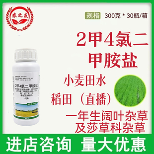 74％2甲4氯二甲胺盐小麦田水稻田直播一年生阔叶杂草及莎草科杂草