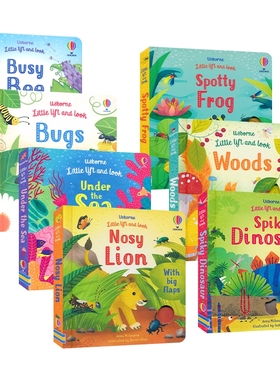 Usborne Little Lift and Look Bugs  Dinosaur 昆虫 狮子 恐龙 蜜蜂 在海底 科普早教启蒙绘本 翻翻洞洞书 亲子读物 英文原版进口