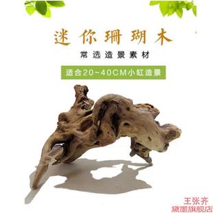 珊瑚木鱼缸造景水榕爬宠一体杜鹃根水缸根树枝沉木小型微景观水族