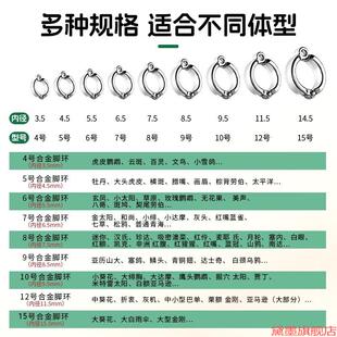 放飞绳拴鸟玄凤鸟开口圈鸟环鸟脚凤牡丹鹦鹉防脱扣活扣环玄鸟玉鸟