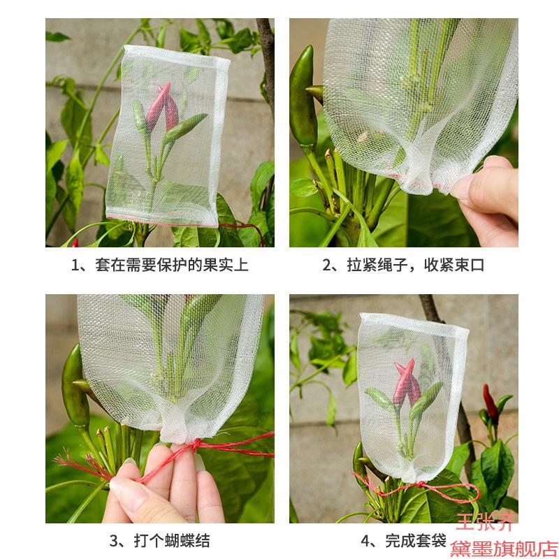 尼龙网套袋水果网网种子袋白色专用防虫袋滤网纱网袋丝瓜蜜蜜果树