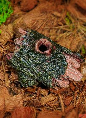 水桶树皮摆件蜥蜴龟缸水族箱装饰潜水艇小龟浮台爬爬坡洞穴躲避台