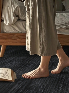 大尺寸/进口家用卧室客厅满铺办公室方块拼接尼龙地毯/TC4000系列