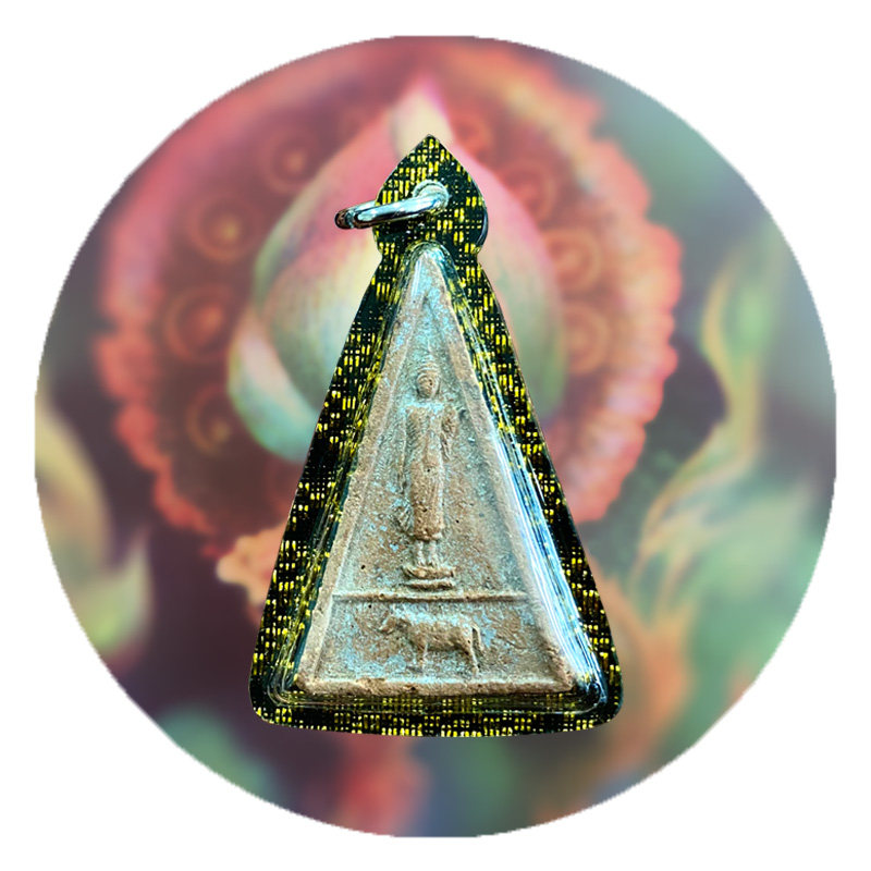 国内现货2530龙婆碧纳骑龟牛单层版含多款壳及鉴定卡包邮贝叶工坊