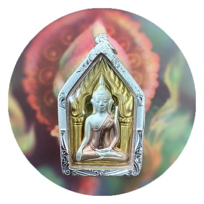 国内现货2548龙婆判三色百日坤平l模含多款外壳d卡包邮贝叶工坊