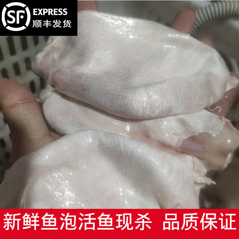 鱼泡新鲜鱼鳔鱼胶花胶鱼肚鱼杂鲤鱼草鱼鲢鱼现杀现取500g两斤包邮