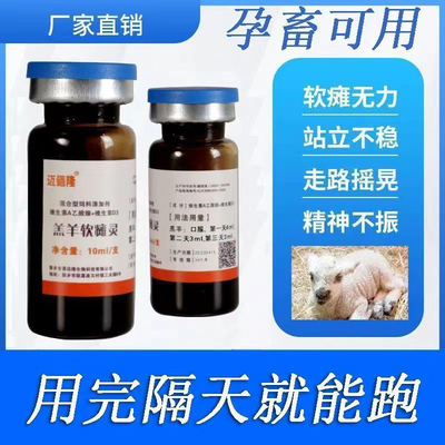 羔羊软瘫灵羔羊瘫软专用救命液牛犊猪强力快速补钙口服