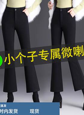 高腰小个子加绒微喇裤女2025年秋冬新款大码九分西装喇叭裤休闲裤