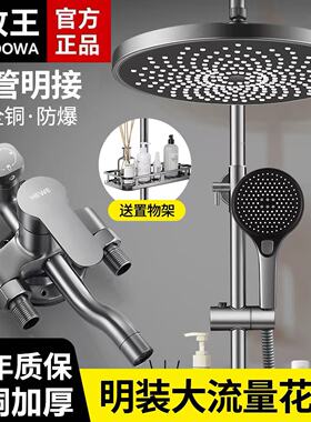 九牧王全铜明装淋浴花洒套装家用沐浴增压花晒头明管明装全套淋浴
