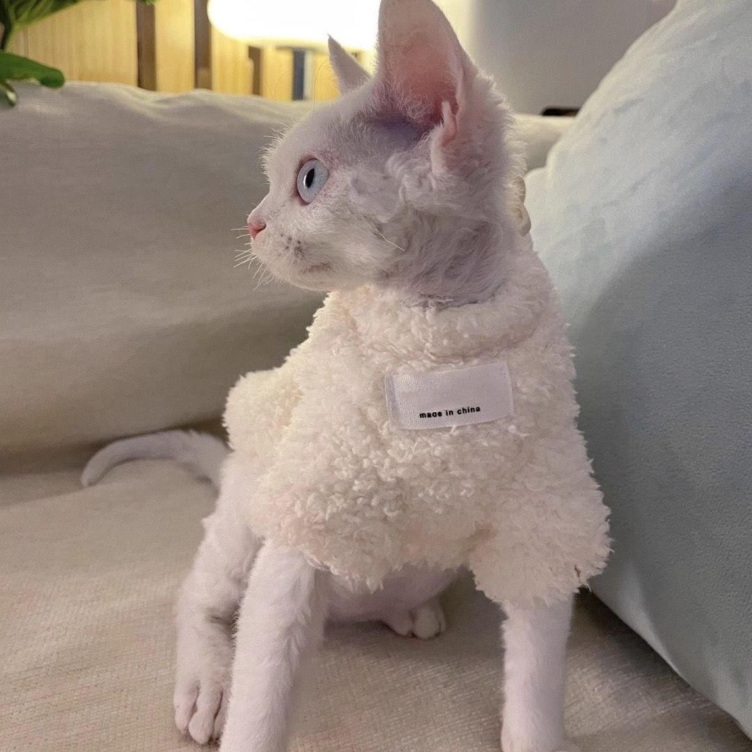 德国卷毛德文猫专用衣服猫咪秋冬款冬天冬季保暖幼猫小猫加绒加厚