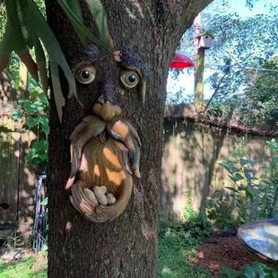 Tree Face Bird Feeder Outdoor Bird Feeder Unique Outdoor