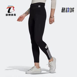 女子运动绑腿裤 Adidas GT8461 TIGHTS 阿迪达斯正品 三叶草新款