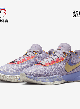 Nike/耐克正品LeBron 20 Violet Frost男士篮球鞋DJ5423-500