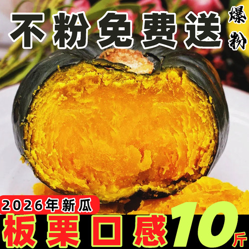 2026年新贝贝南瓜板栗味老南瓜宝宝辅食惠和小南瓜新鲜粉面甜粗粮