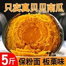 正惠和一号宗贝贝南瓜新鲜板栗味小南瓜栗面老瓜宝宝孕妇辅食山东