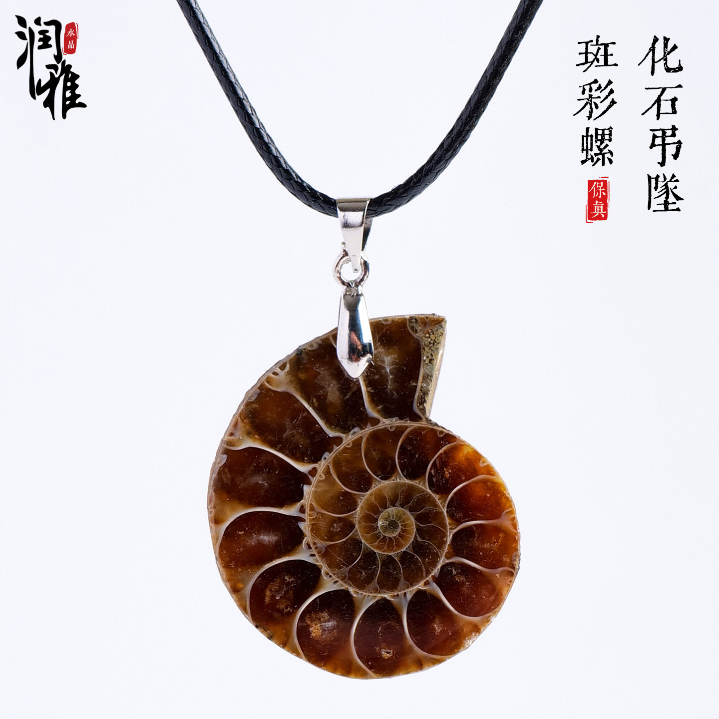 天然斑彩螺化石时间循环项链