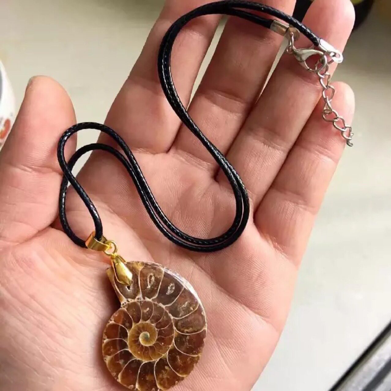 海螺化石切片时间循环项链