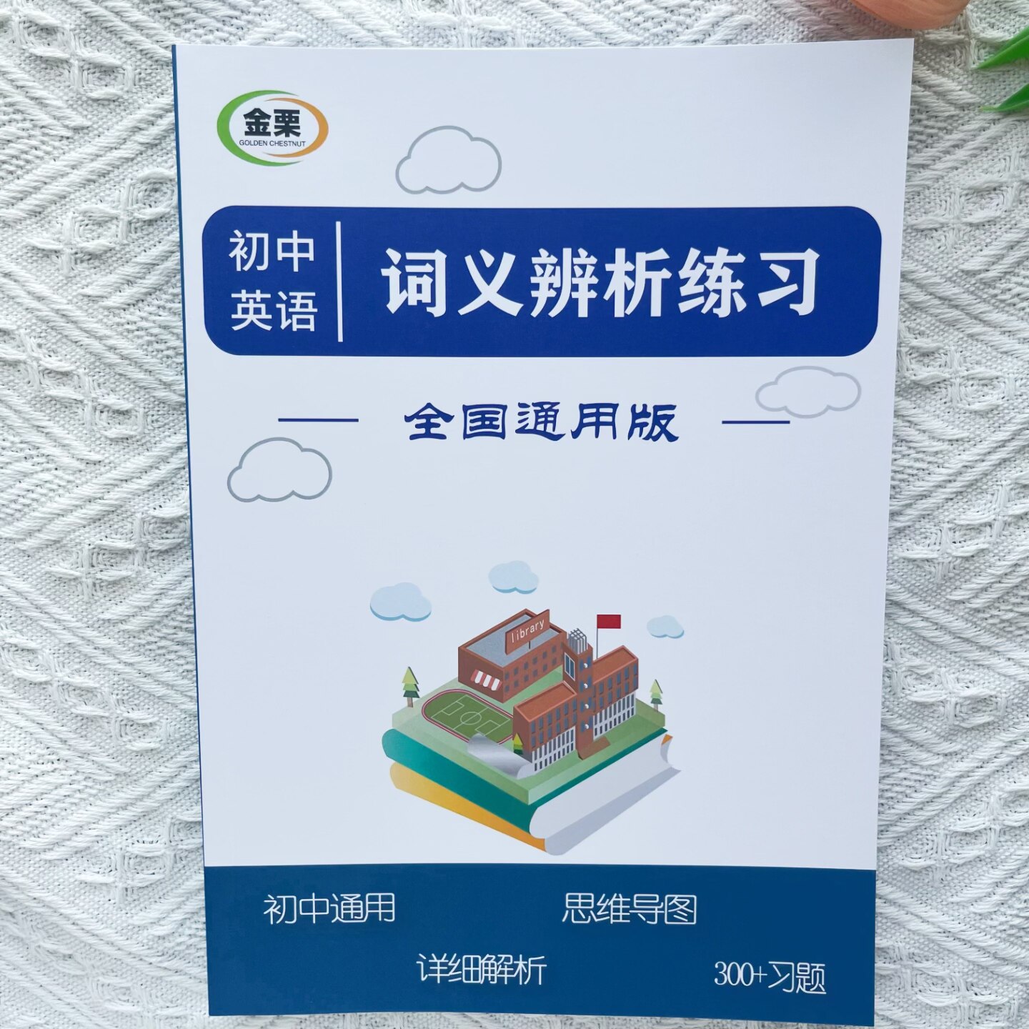 初中英语词义辨析专项练习册含思维导图解析300题初中中考通用版