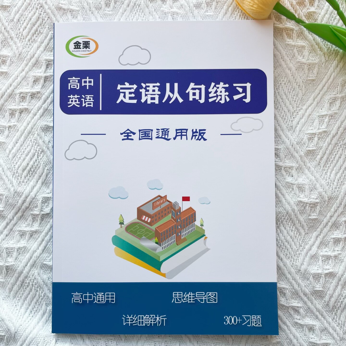 高中英语定语从句专项练习含解析思维导图300题高一二三高考通用
