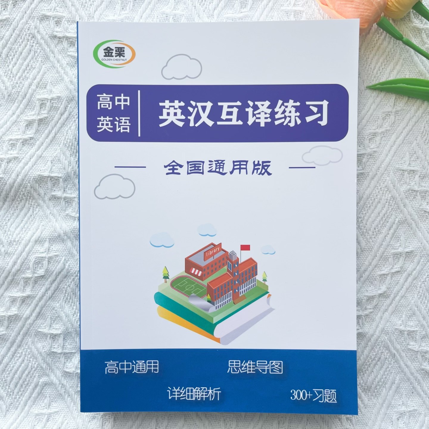 高中英语英汉互译专项练习册含详细解析300题高中高考通用版