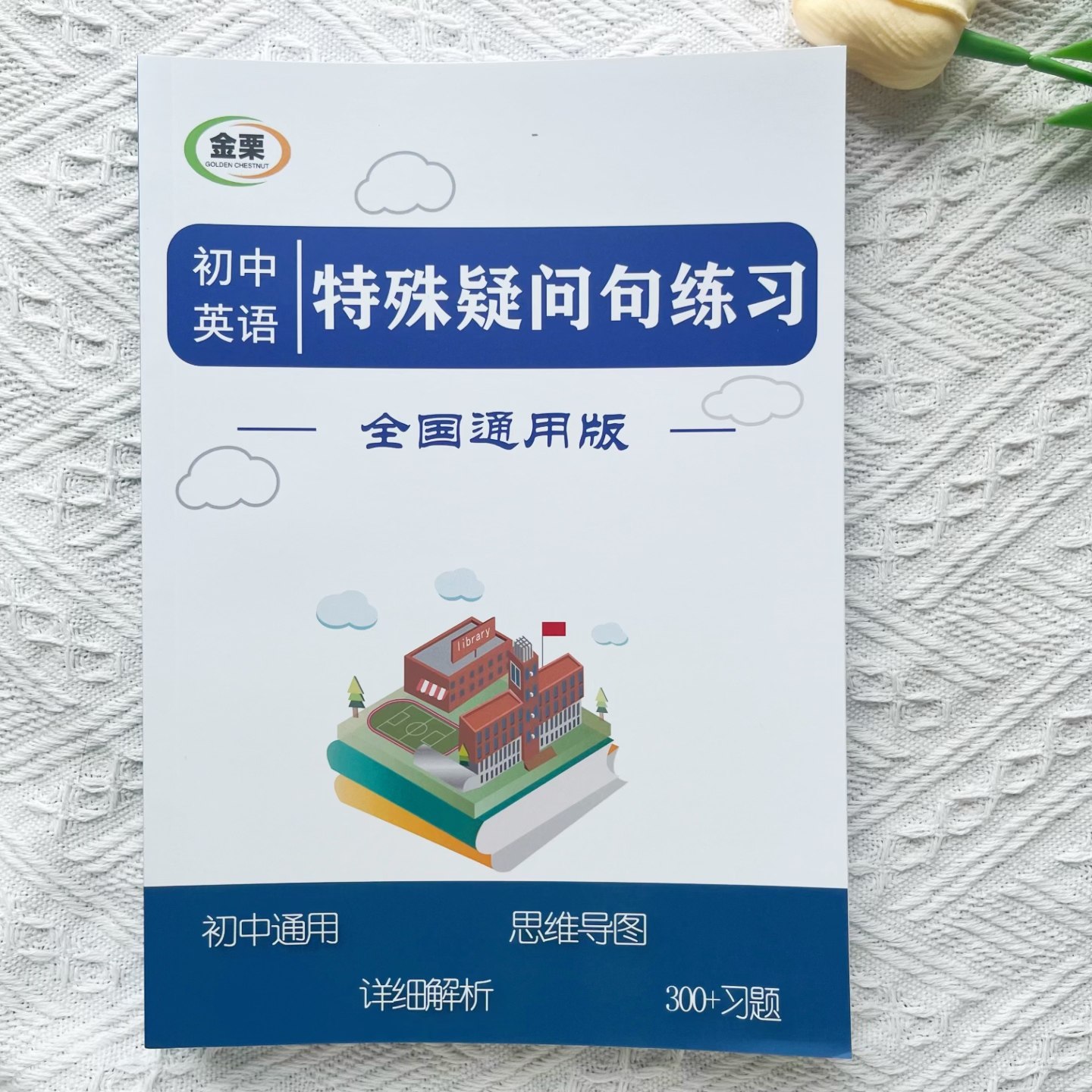 初中英语特殊疑问句专项练习册含思维导图解析300题初中中考通用
