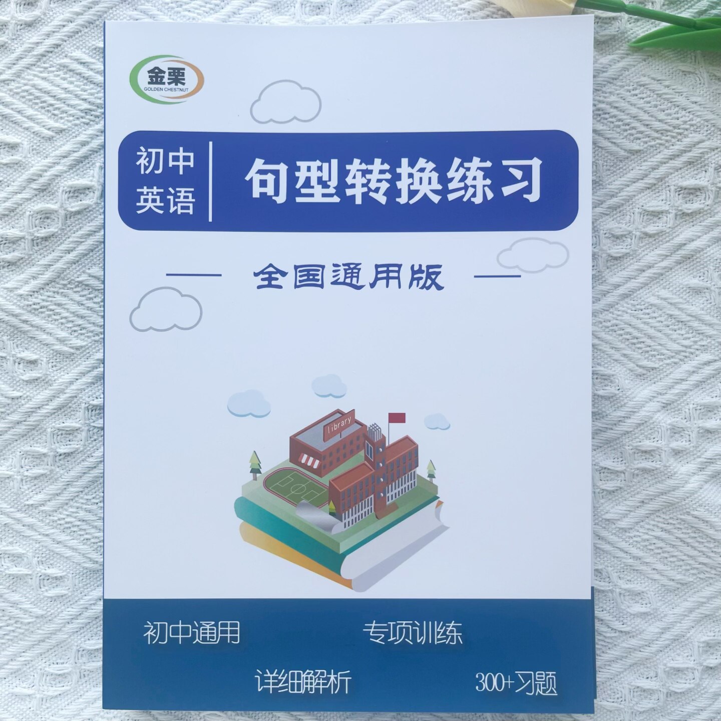 初中英语句型转换专项练习册含详细解析300题初中中考通用版